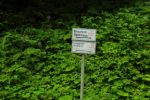 2014-07-05_Laengental-N-Hochweg (975). JPG